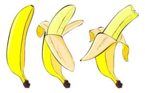 Three illustrated bananas. One is unpeeled, two are peeled halfway. One has a bite taken out of it.