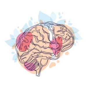 Illustrated brain. The brain is a peach-color with artfully place pink spots overlayed on it.